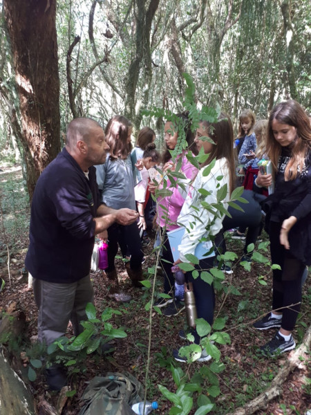 6º ano realiza passeio de estudos na Quinta da Estância em Viamão