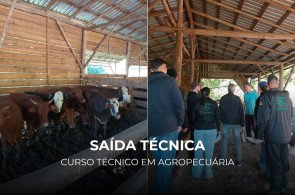 Curso Técnico em Agropecuária realiza saída técnica em Presidente Lucena