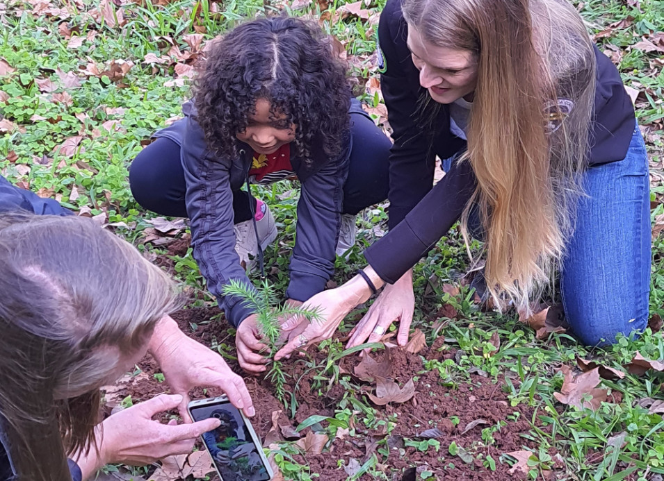 Projeto das Araucárias doa mudas para plantio em parque de Novo Hamburgo