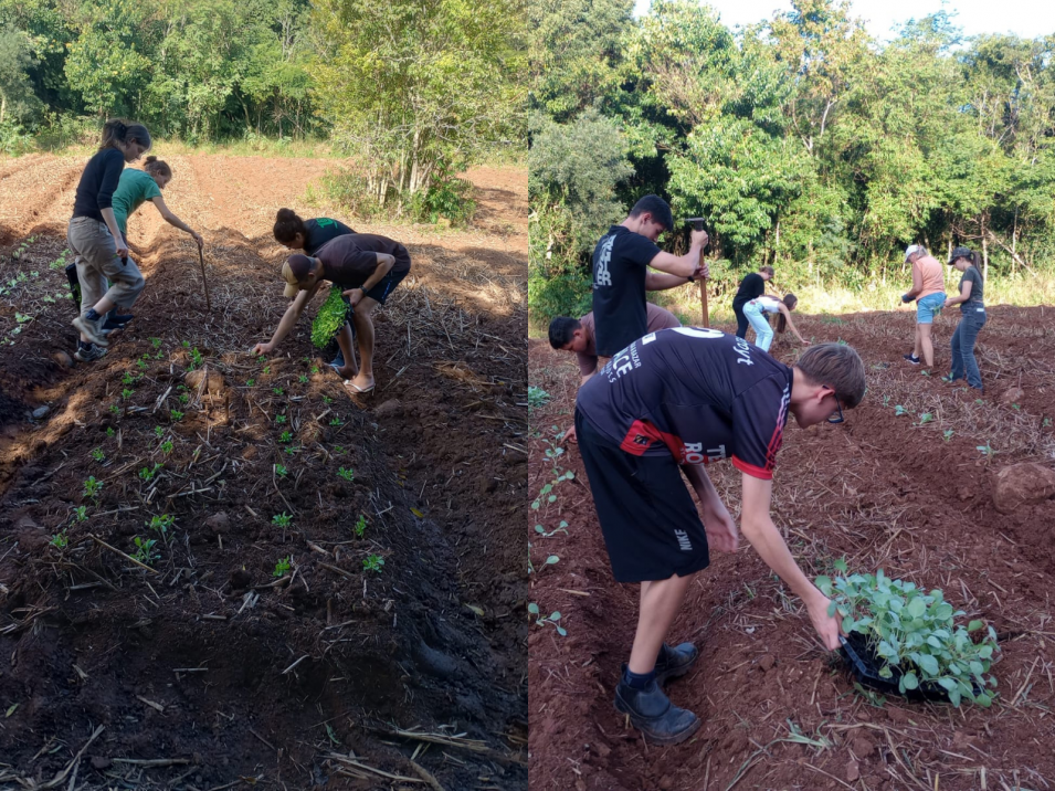 Do plantio ao cuidado com o solo: experiências que conectam teoria e prática