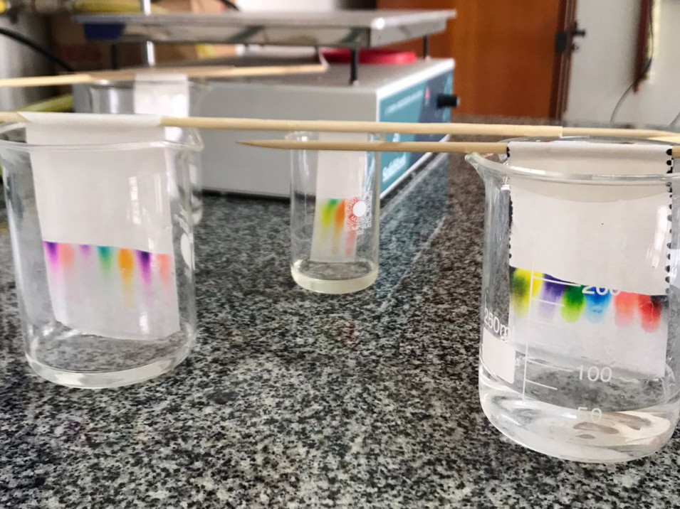 Turma do Ensino Médio tem aula sobre separação de misturas utilizando cromatografia