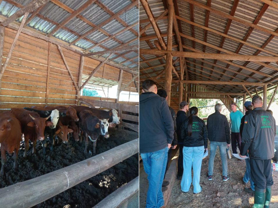 Curso Técnico em Agropecuária realiza saída técnica em Presidente Lucena