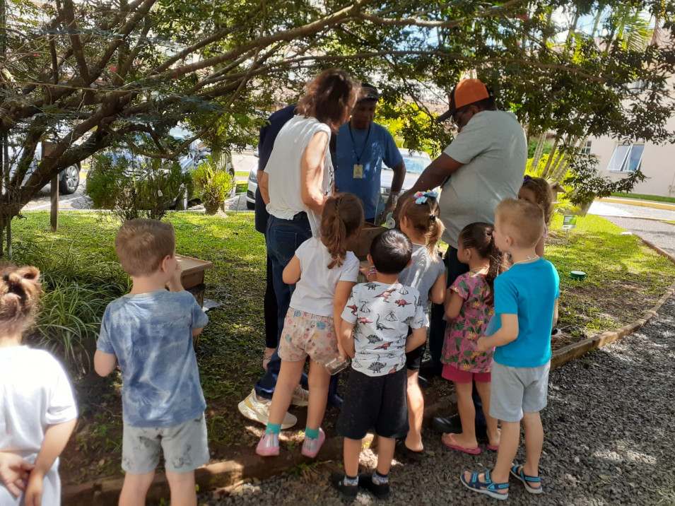 Crianças da Educação Infantil auxiliam na transferência de abelhas Jataí