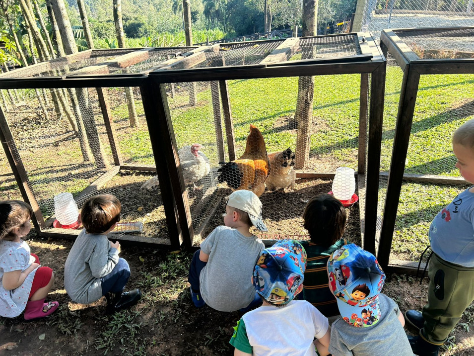 Passeio em uma fazenda  complementa o projeto das turmas de Nível 2