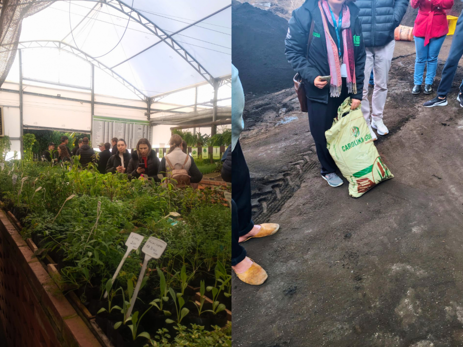Curso Técnico em Agropecuária realiza visita técnica ao Viveiro Strack