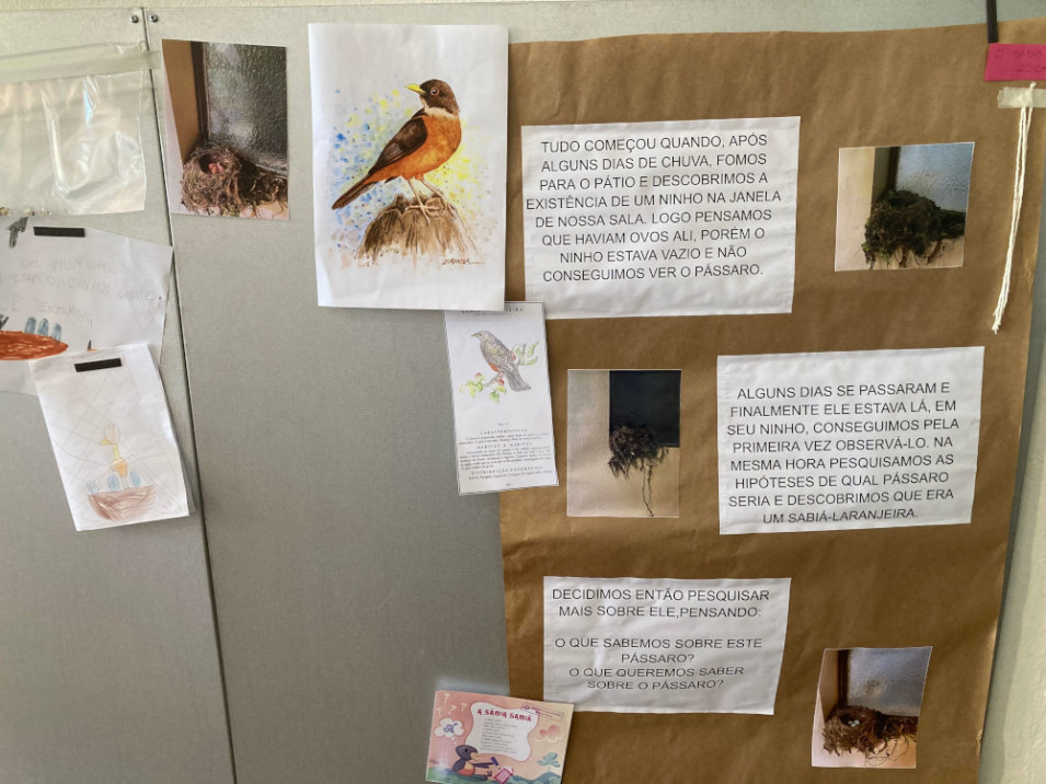 Crianças do Turno Integral realizam diferentes atividades a partir da descoberta de um ninho de sabiá-laranjeira