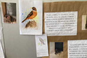 Crianças do Turno Integral realizam diferentes atividades a partir da descoberta de um ninho de sabiá-laranjeira