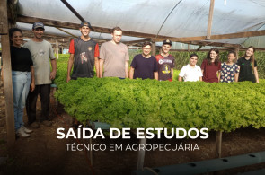 Saída de estudos amplia conhecimentos sobre produção de hortaliças