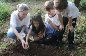 Plantio de sementes de raízes comestíveis nas aulas de Herbário do Instituto Ivoti