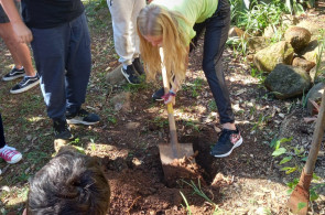 Turma do 5º ano A realiza plantio da árvore escolhida para presentear o Instituto Ivoti