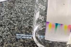 Turma do Ensino Médio tem aula sobre separação de misturas utilizando cromatografia