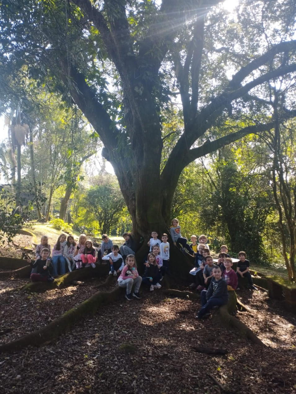 Diferentes atividades marcam a Semana do Meio Ambiente no Instituto Ivoti