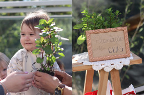 Nível 1 vivencia experiências com a natureza ao plantar chás