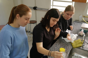 Estudantes do Ensino Médio realizam pesquisa sobre Propriedades Coligativas