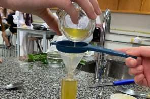 Projeto de fitoterapia e química orgânica é realizado por estudantes do Ensino Médio