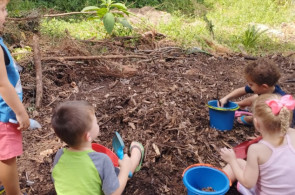 Crianças da Educação Infantil tem vivências na natureza também nas aulas de Herbário