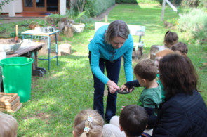 Momentos de plantio nas aulas do Herbário Vivo da Educação Infantil e Anos Iniciais