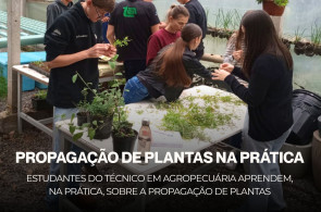 Estudantes do Instituto Ivoti aprendem sobre propagação de plantas na prática