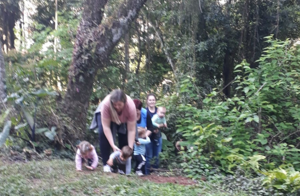 Turmas da Educação Infantil participam de trilha ecológica