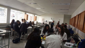 Turma vai Laboratório de Ciências para experimentos sobre misturas