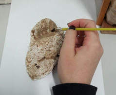 Alunos descobrem como desvendar pegadas