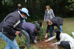 Herbário Vivo: Instituto Ivoti terá pomar de frutos silvestres comestíveis