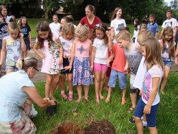 Alunos plantam árvores frutíferas no Instituto Ivoti