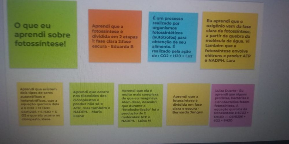 Alunos do Ensino Médio criam quadro digital interativo sobre Fotossíntese
