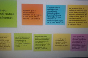 Alunos do Ensino Médio criam quadro digital interativo sobre Fotossíntese