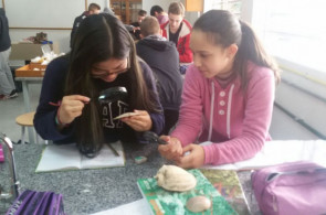 Aula sobre invertebrados no Laboratório de Ciências