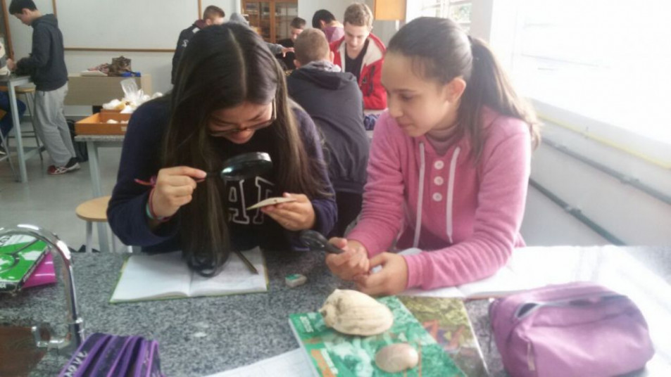 Aula sobre invertebrados no Laboratório de Ciências