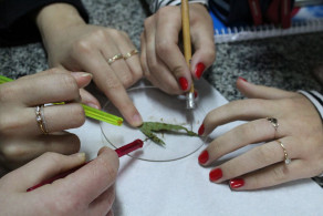 Turma do Curso Normal tem aula prática na mata do Instituto Ivoti