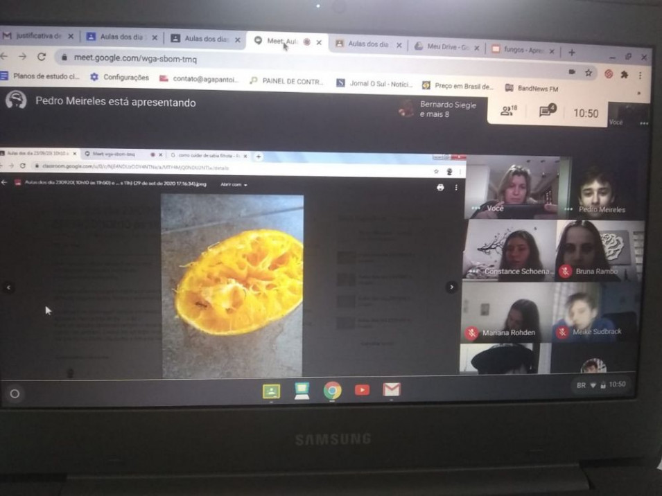 Turma do 7º ano realiza experiência sobre fungos na aula de Ciências