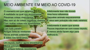 Turmas do Curso Normal realizam diferentes ações em prol do Meio Ambiente