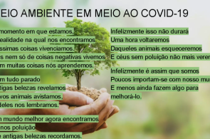Turmas do Curso Normal realizam diferentes ações em prol do Meio Ambiente