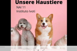 Alunos apresentam seus animais de estimação em língua alemã