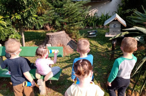 Turma do Nível 2 realiza trabalhos sobre os bichos que circulam no jardim