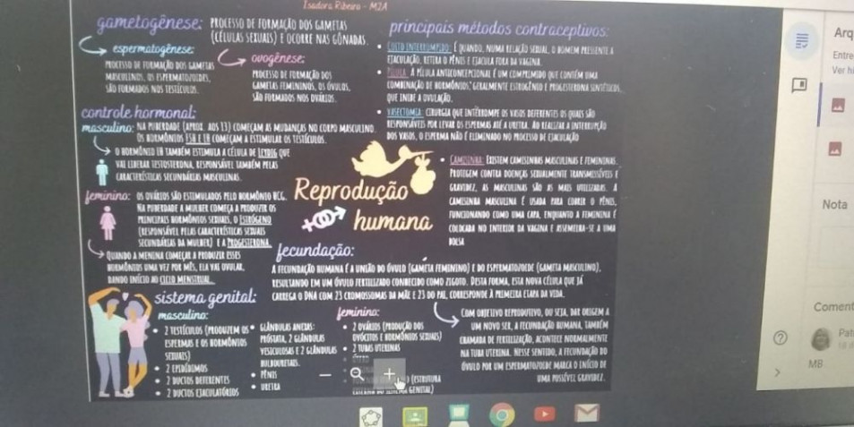 Turmas do Ensino Médio criam até revistas científicas nas aulas de Biologia