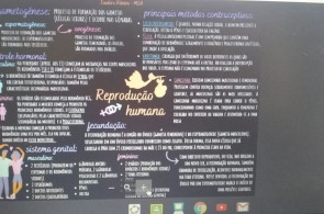 Turmas do Ensino Médio criam até revistas científicas nas aulas de Biologia