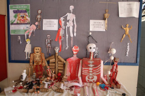 Estudo sobre o sistema locomotor resulta em exposição de trabalhos da turma