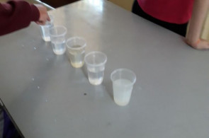 Turma cria atividades para estímulos sensoriais e cognitivos