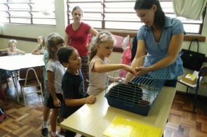 Coelha Lola e Veterinária Natália visitam o Instituto Ivoti