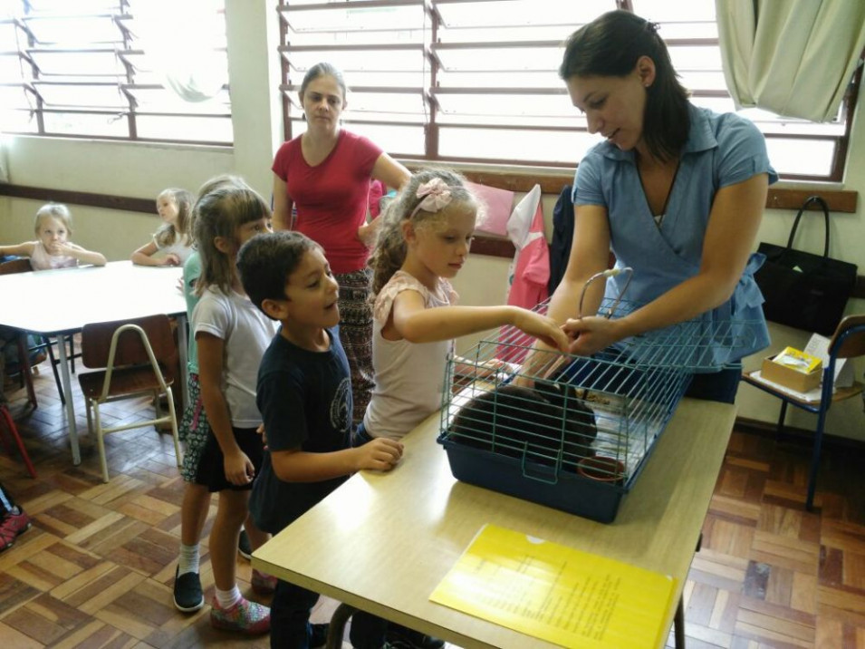 Coelha Lola e Veterinária Natália visitam o Instituto Ivoti