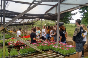 Instituto Ivoti recebeu intercambistas de Pomerode