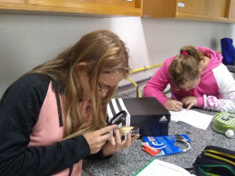Turmas aprendem na prática sobre vírus, bactérias e fungos