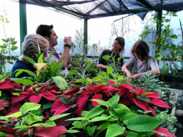 Herbário recebe visita de docentes de Porto Alegre