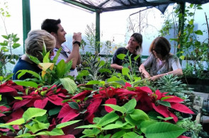 Herbário recebe visita de docentes de Porto Alegre