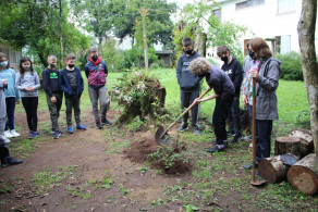 Semana de atividades do Dia da Árvore encerra com plantio de Sete capotes