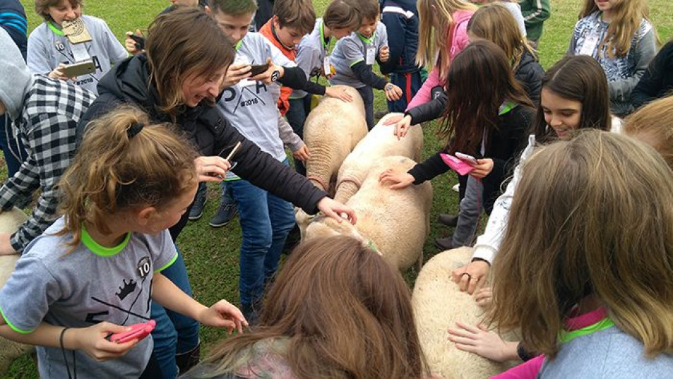 Turmas realizam passeio de estudos para Bento Gonçalves