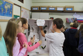 Alunos fazem exposição das coleções criadas em sala de aula